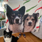 Dog Face Blanket Custome