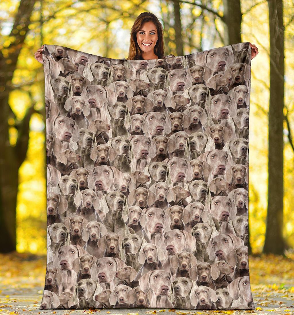 Weimaraner Full Face Blanket