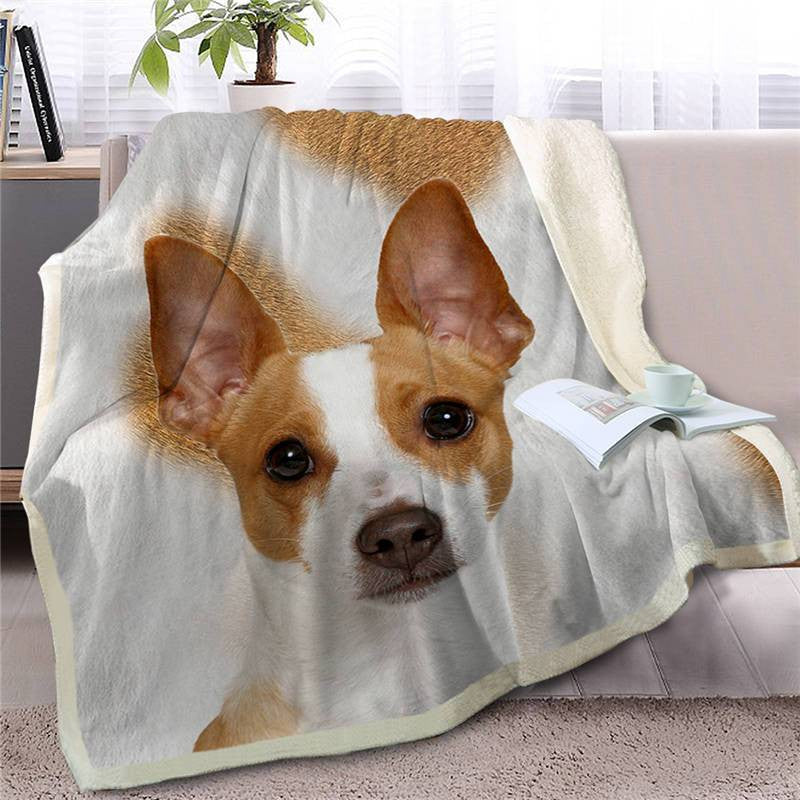 Basenji Face Blanket