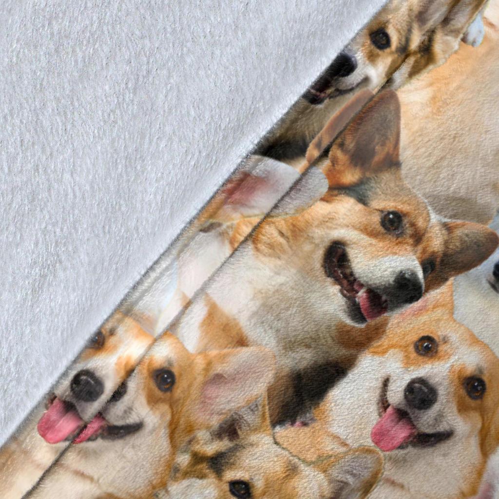 Welsh Corgi Full Face Blanket