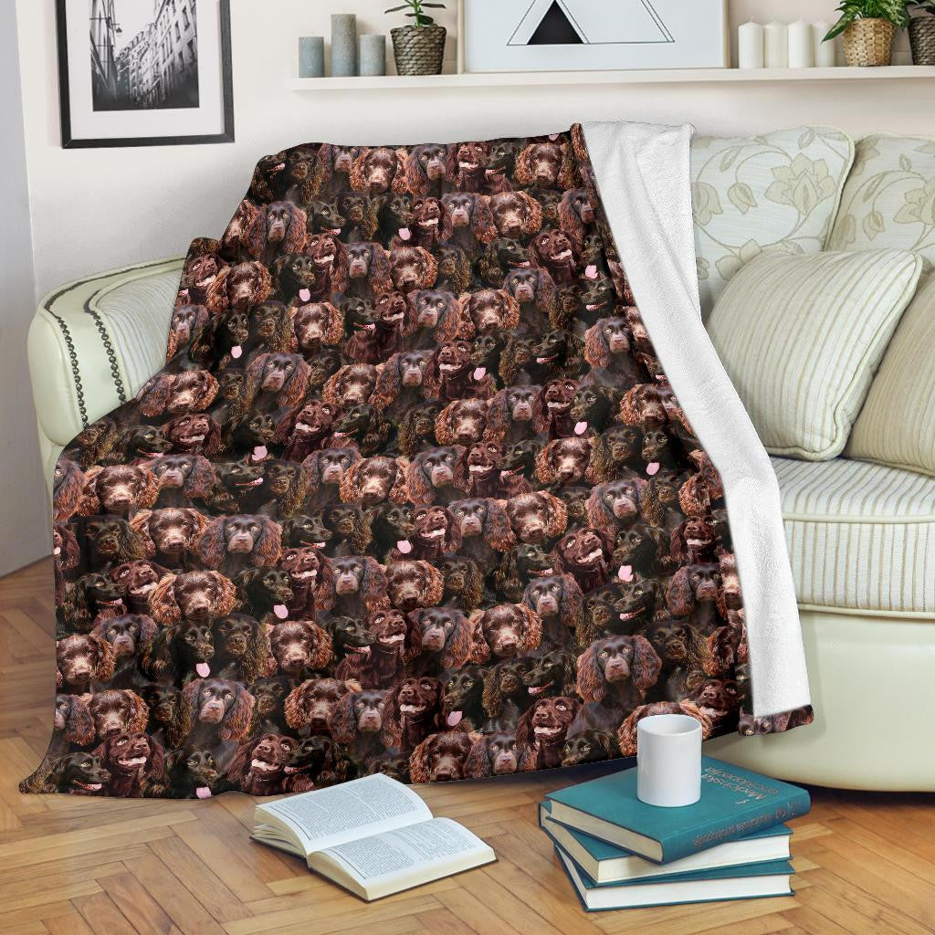 Boykin Spaniel Full Face Blanket