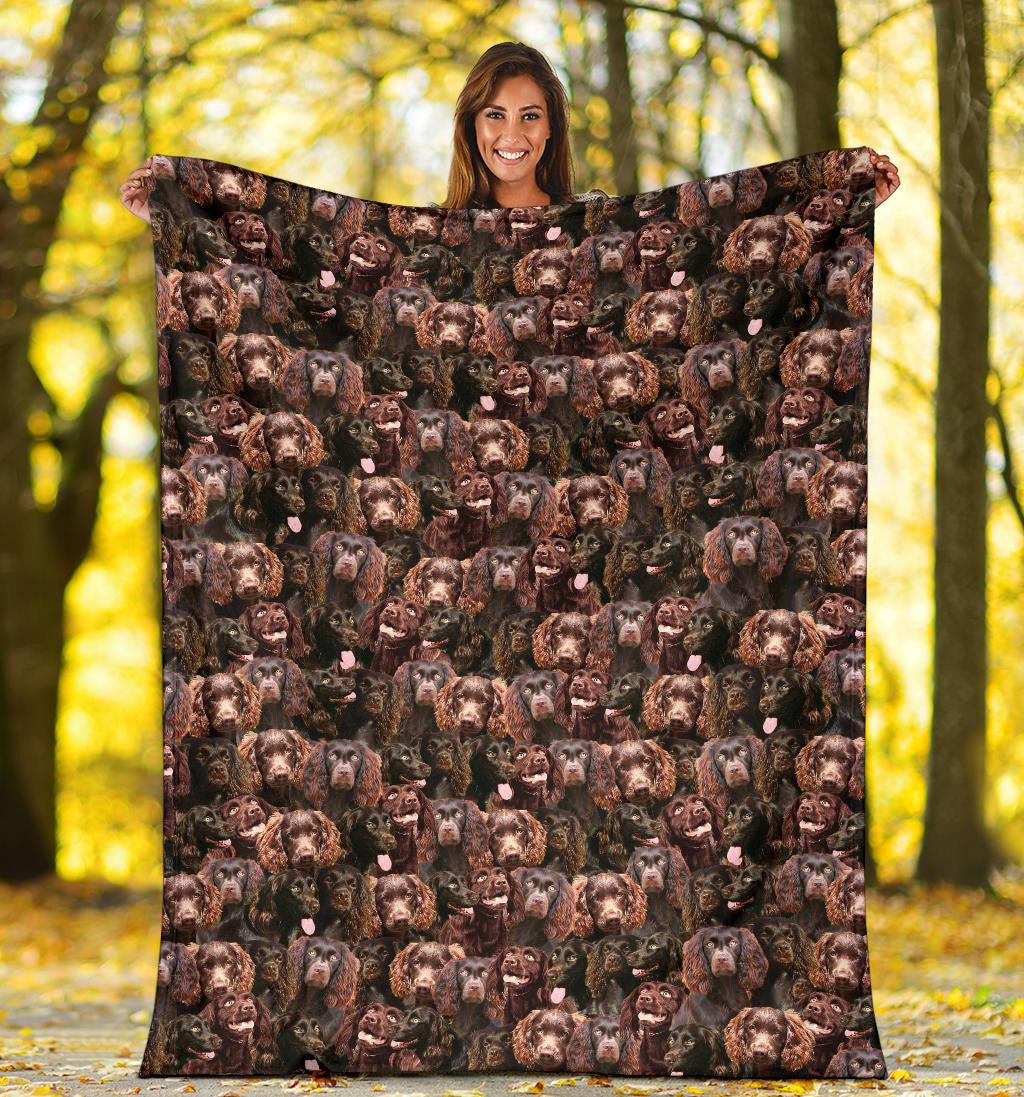 Boykin Spaniel Full Face Blanket