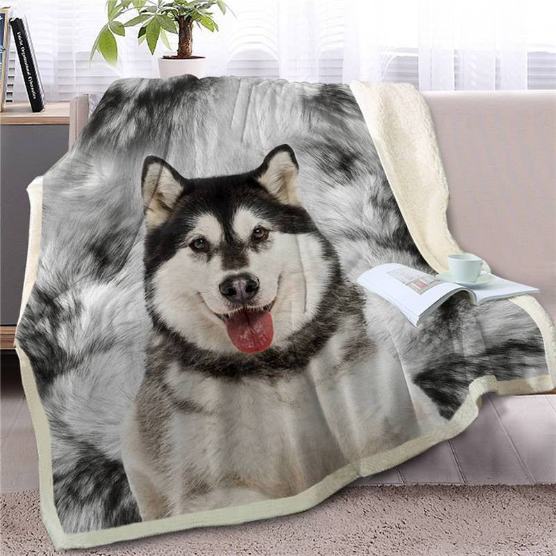 Alaskan Malamute Cute Face Blanket