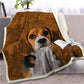 Beagle Face Blanket