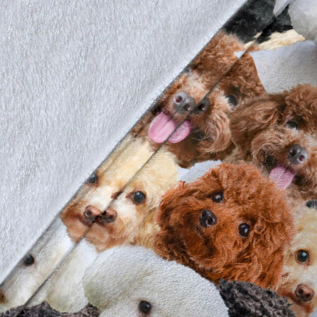 Poodle Full Face Blanket