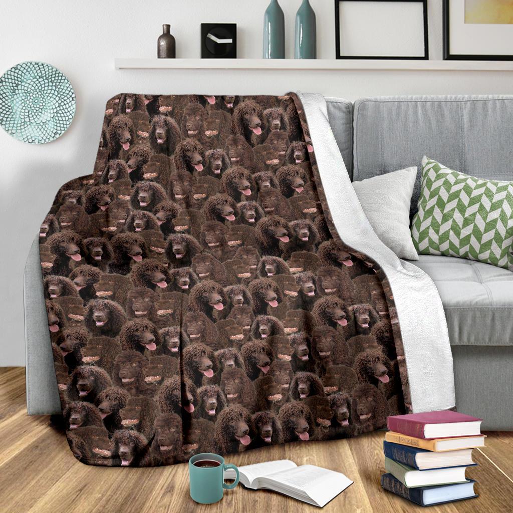 Irish Water Spaniel Full Face Blanket