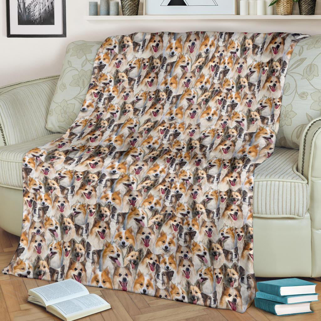 Icelandic Sheepdog Full Face Blanket