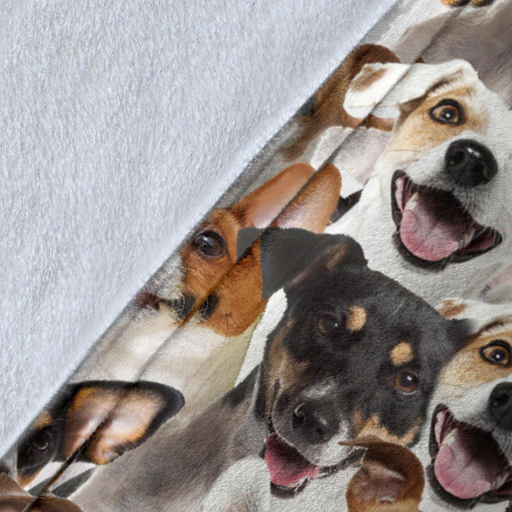 Jack Russell Terrier Full Face Blanket