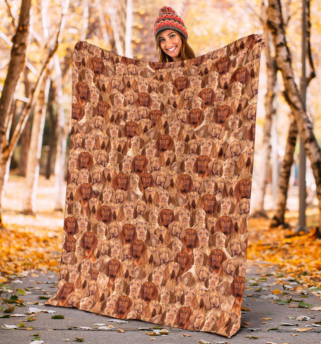 Wirehaired Vizsla Full Face Blanket