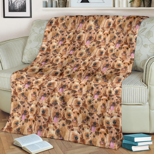 Irish Terrier Full Face Blanket