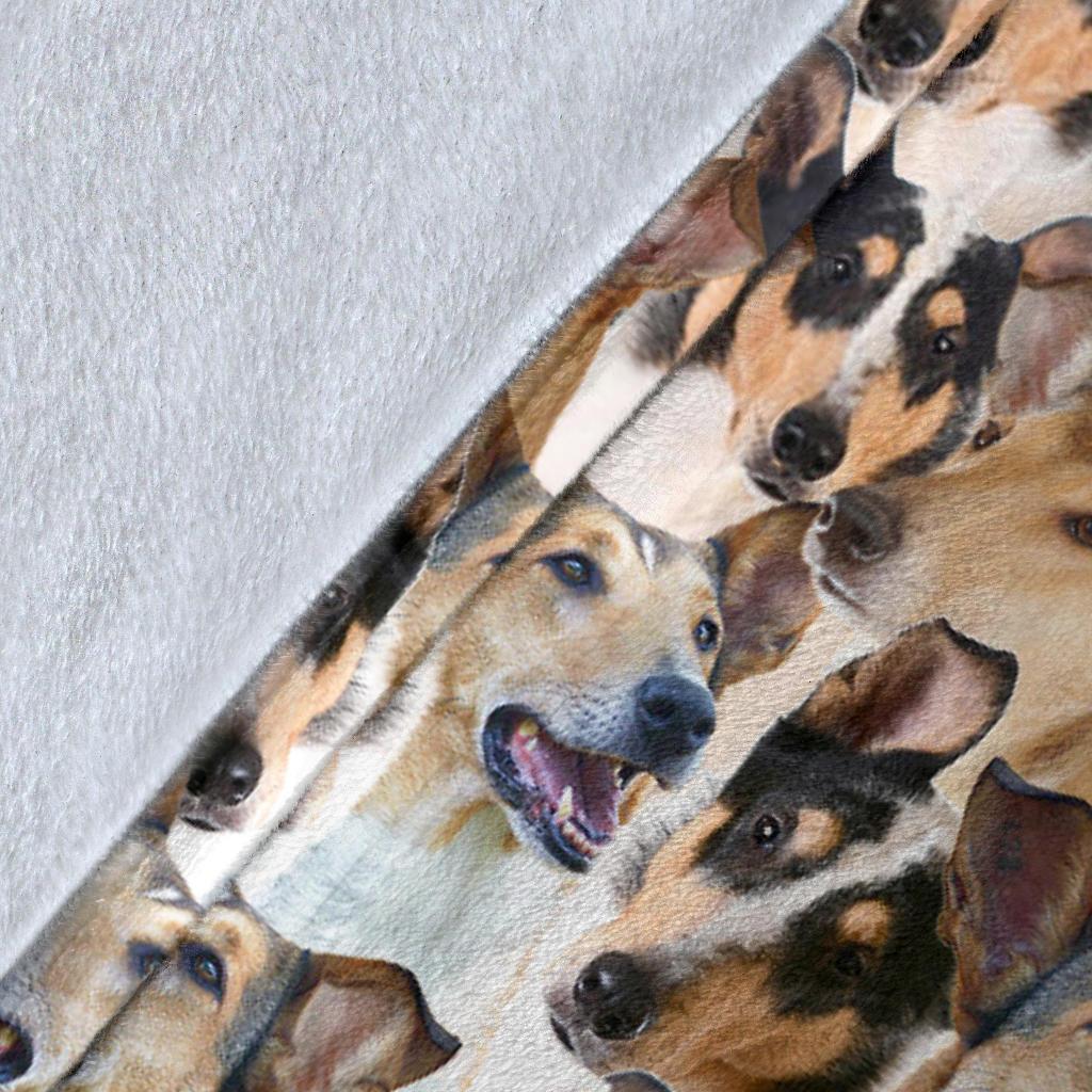 Smooth Collie Full Face Blanket