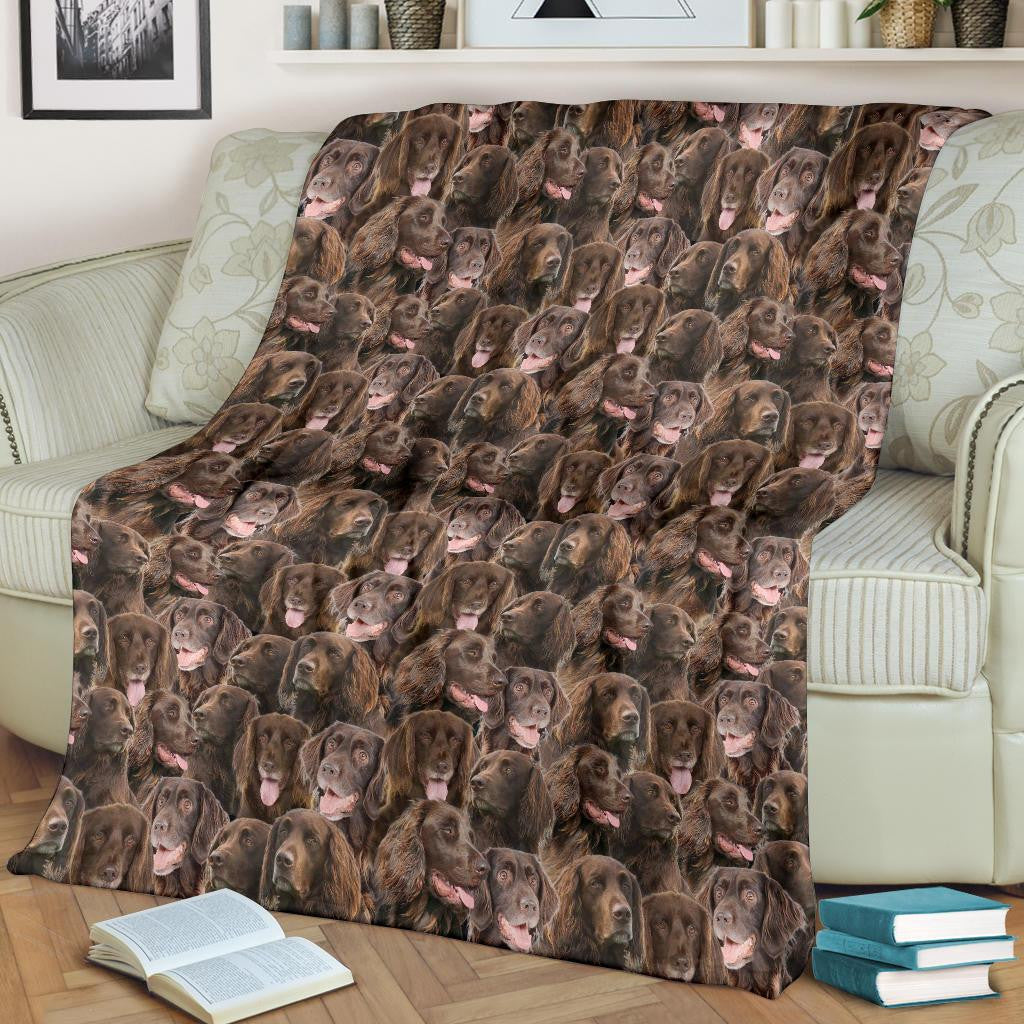 German Longhaired Pointer Full Face Blanket