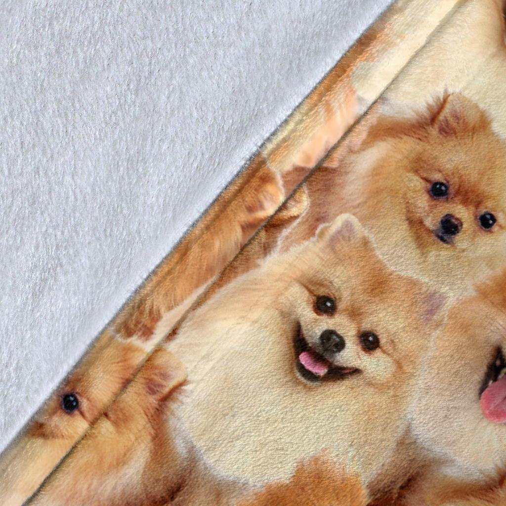 Pomeranian Full Face Blanket