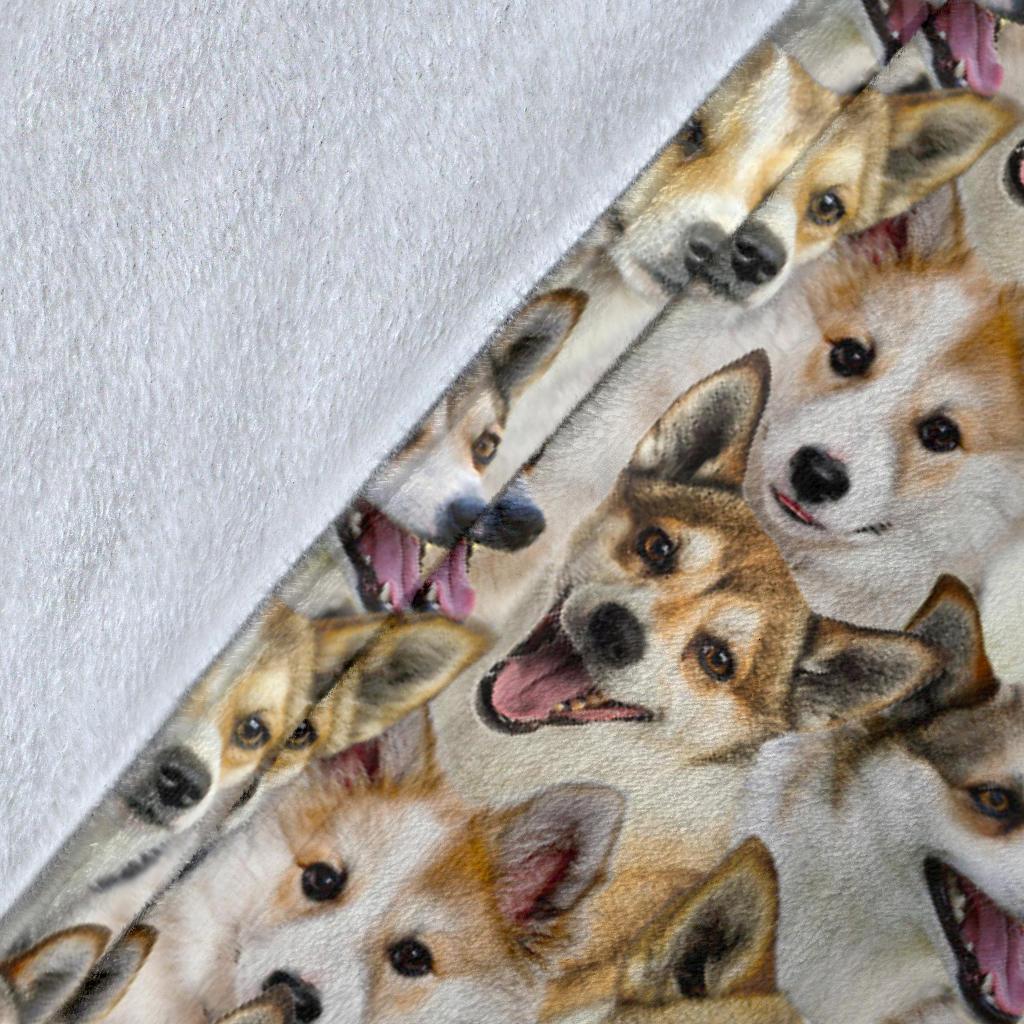 Norwegian Lundehund Full Face Blanket