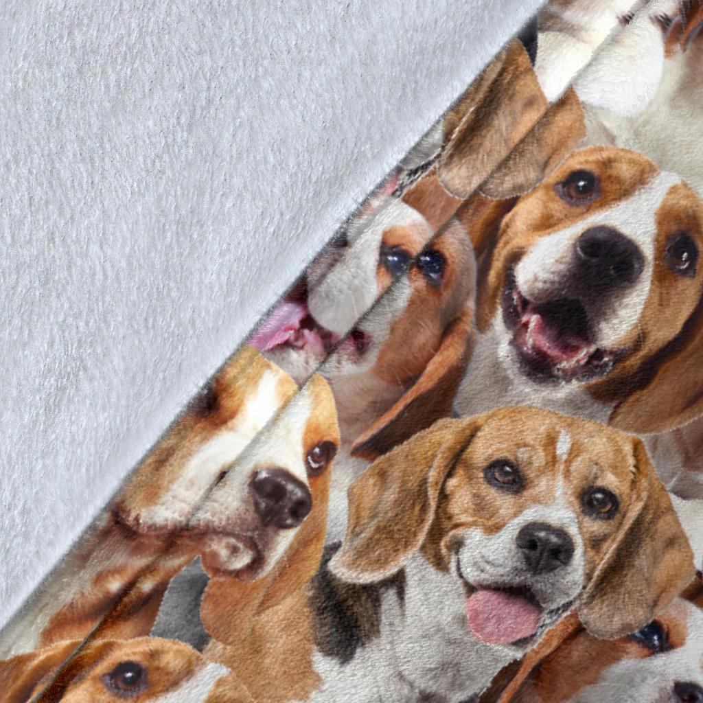 Beagle Full Face Blanket