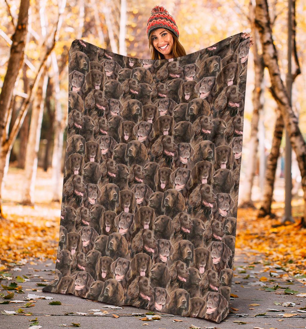 German Longhaired Pointer Full Face Blanket