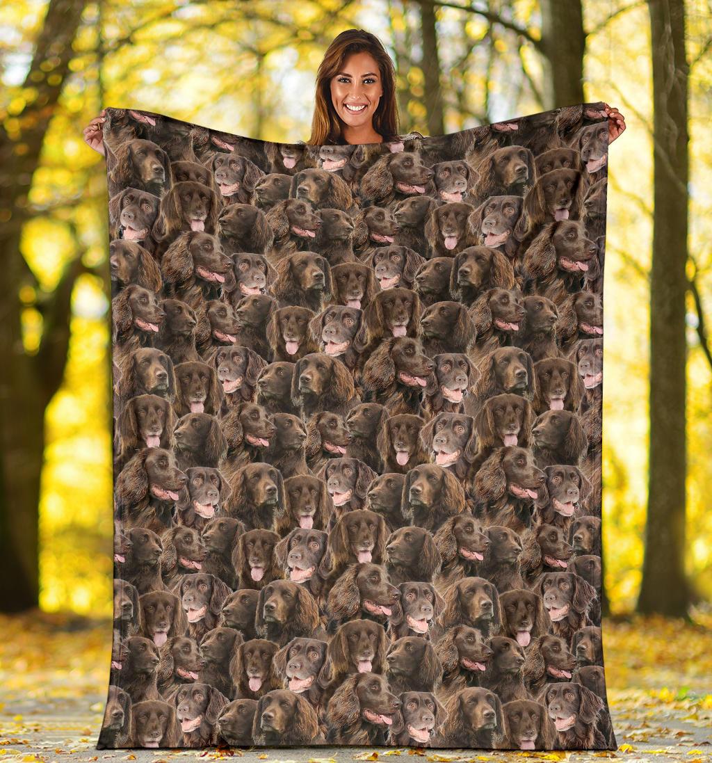 German Longhaired Pointer Full Face Blanket