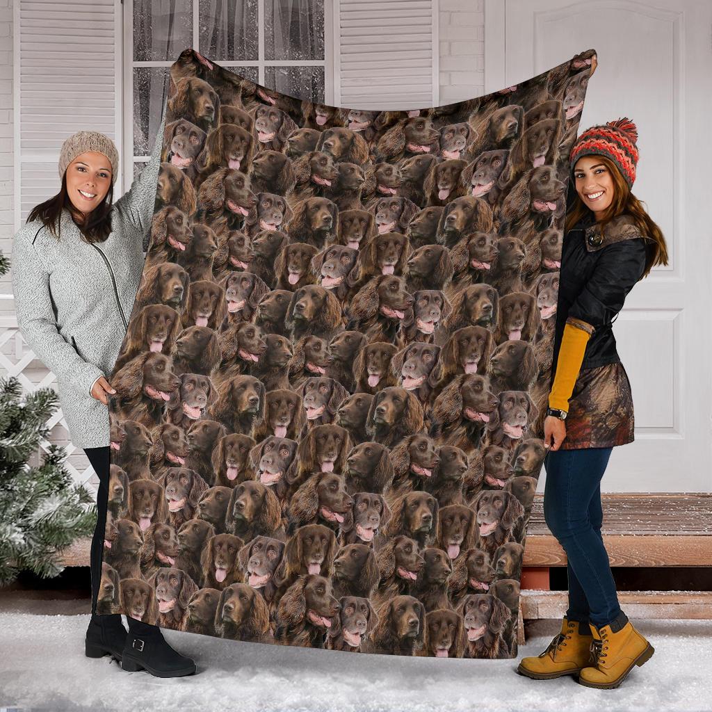 German Longhaired Pointer Full Face Blanket