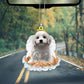 Cavachon White In The Hands Of God Car Hanging Ornament