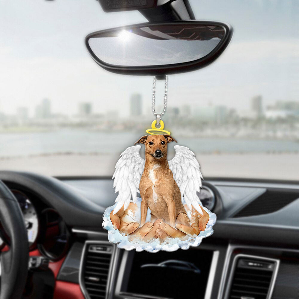 Carolina Dog In The Hands Of God Car Hanging Ornament