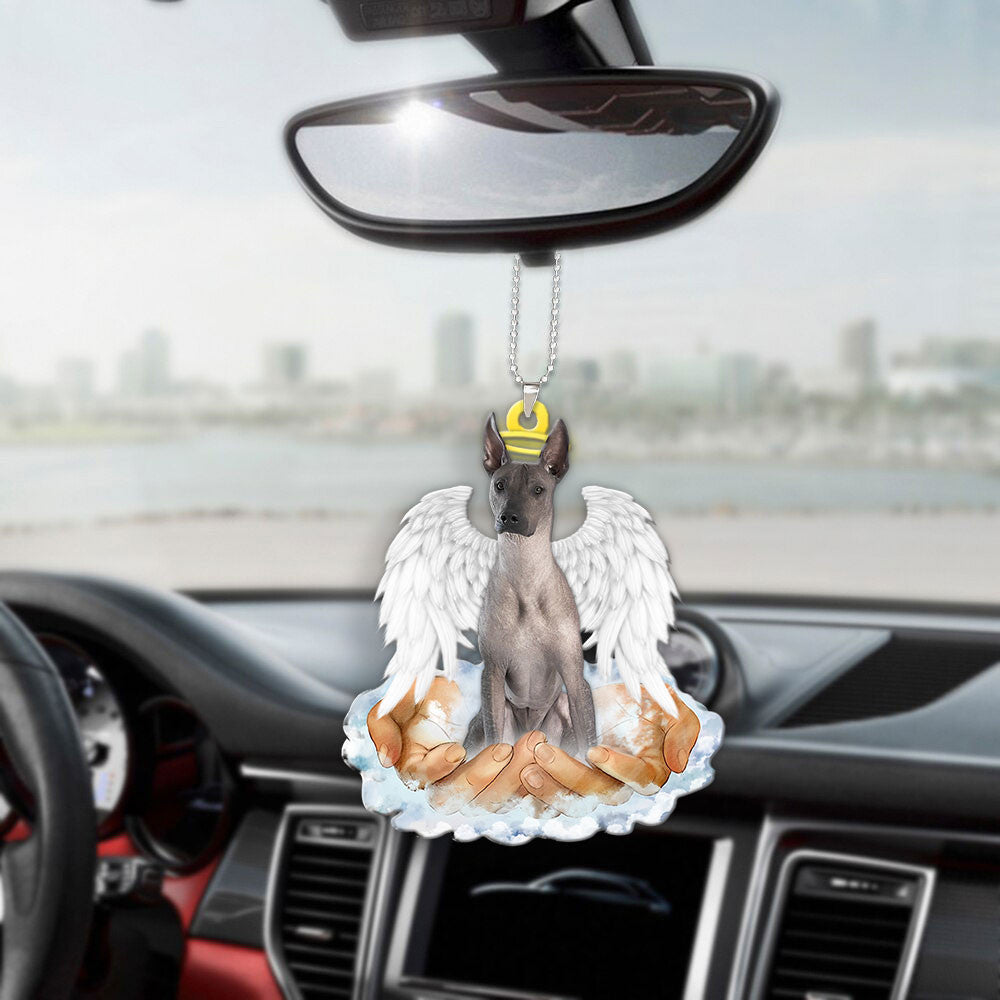 Xoloitzcuintli In The Hands Of God Car Hanging Ornament