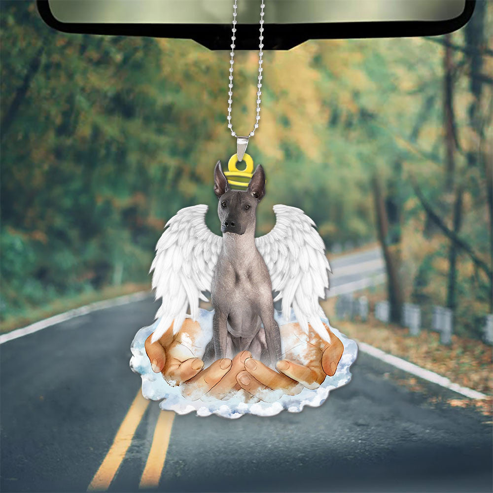 Xoloitzcuintli In The Hands Of God Car Hanging Ornament