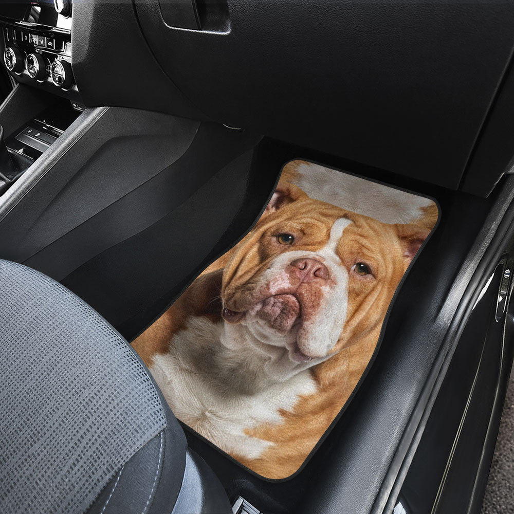 American Bully Dog Funny Face Car Floor Mats 119