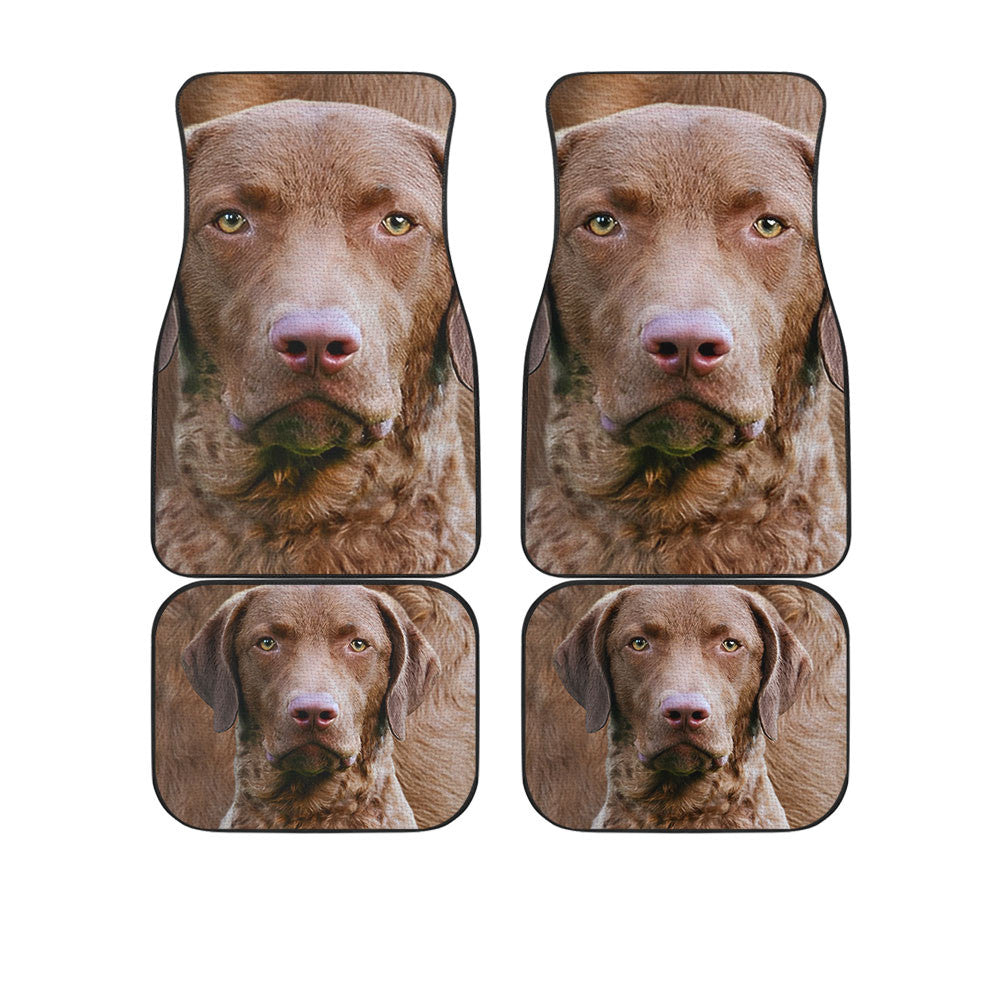 Chesapeake Bay Funny Face Car Floor Mats 119