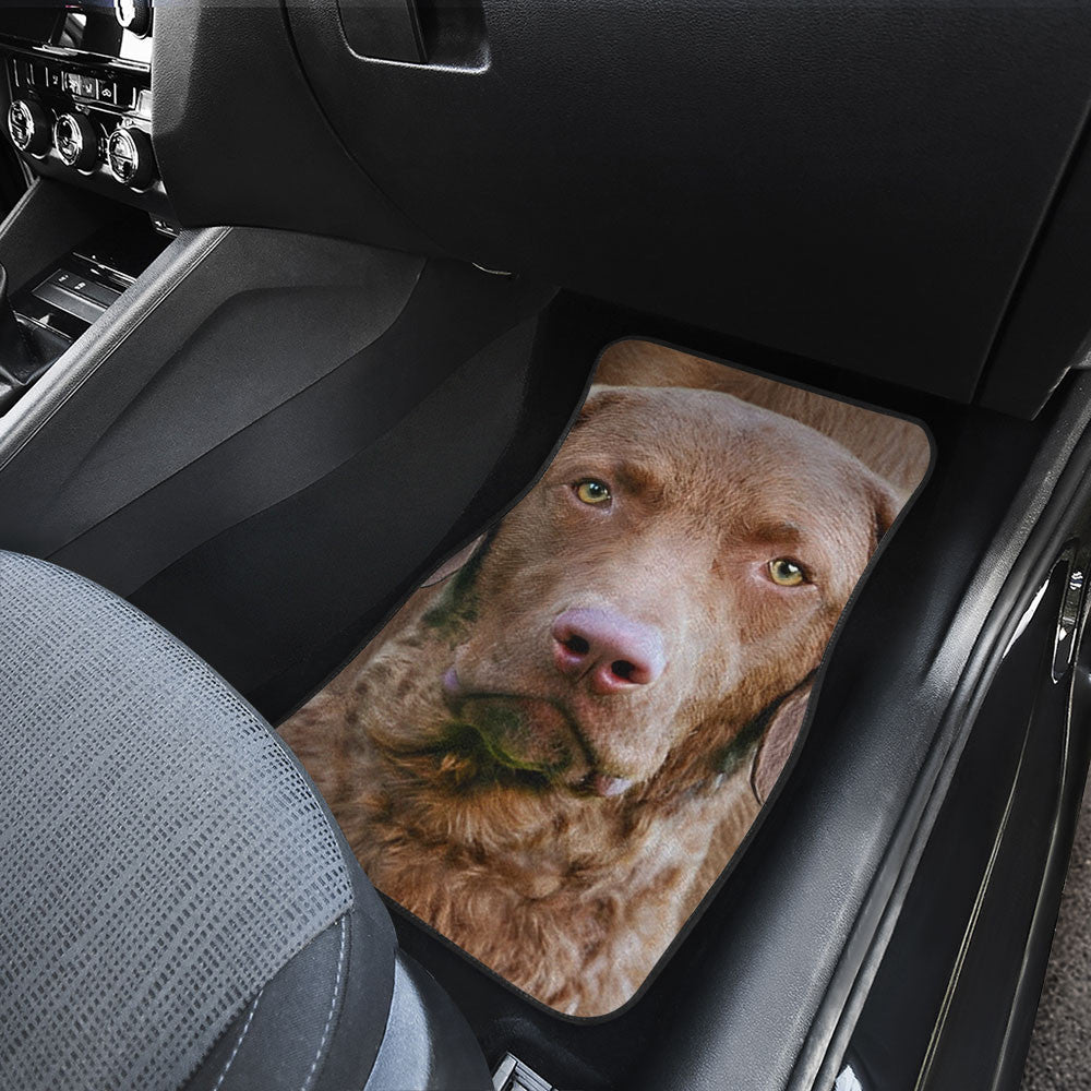 Chesapeake Bay Funny Face Car Floor Mats 119