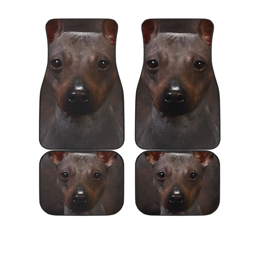 Xoloitzcuintli Funny Face Car Floor Mats 119