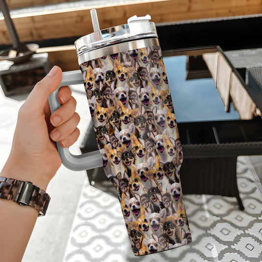 Chihuahua Tumbler