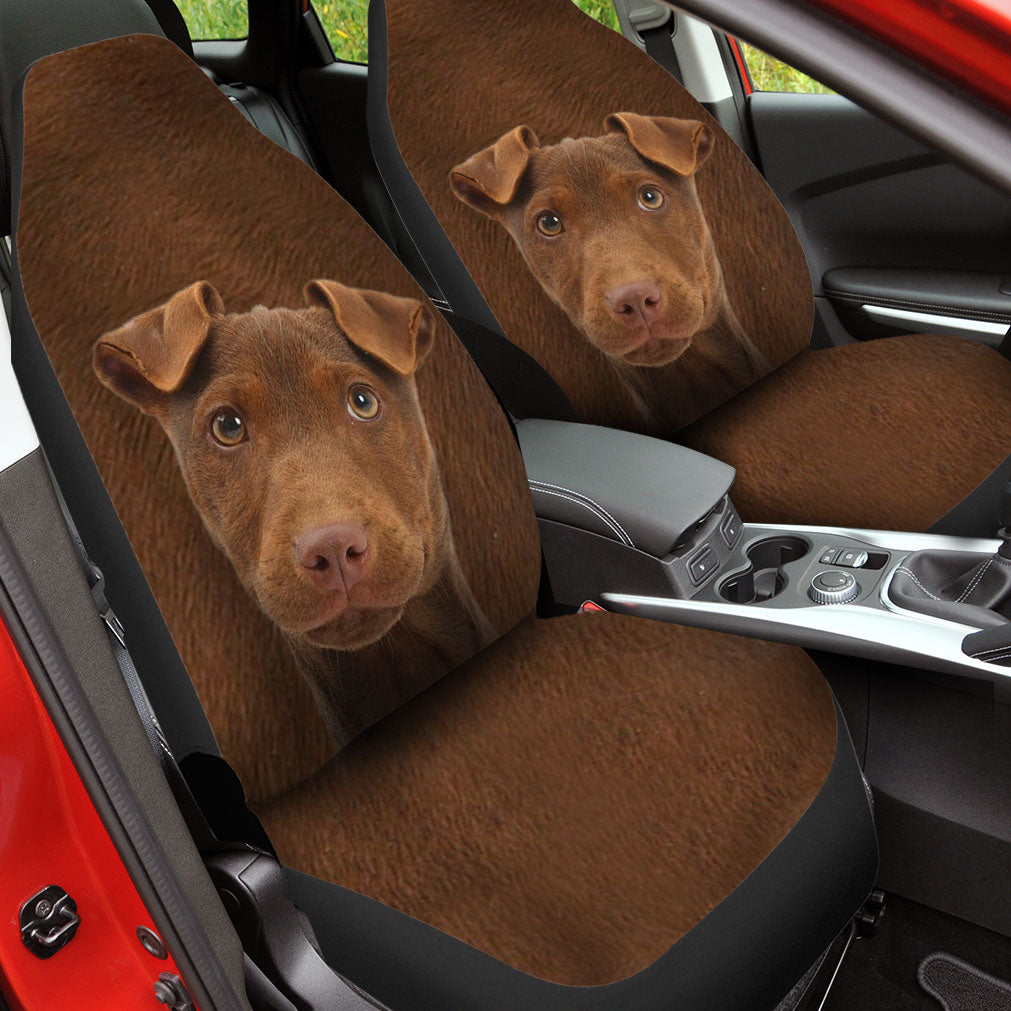 Patterdale Terrier Face Car Seat Covers 120