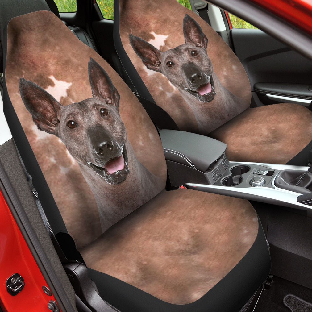 Peruvian Inca Orchid Face Car Seat Covers 120