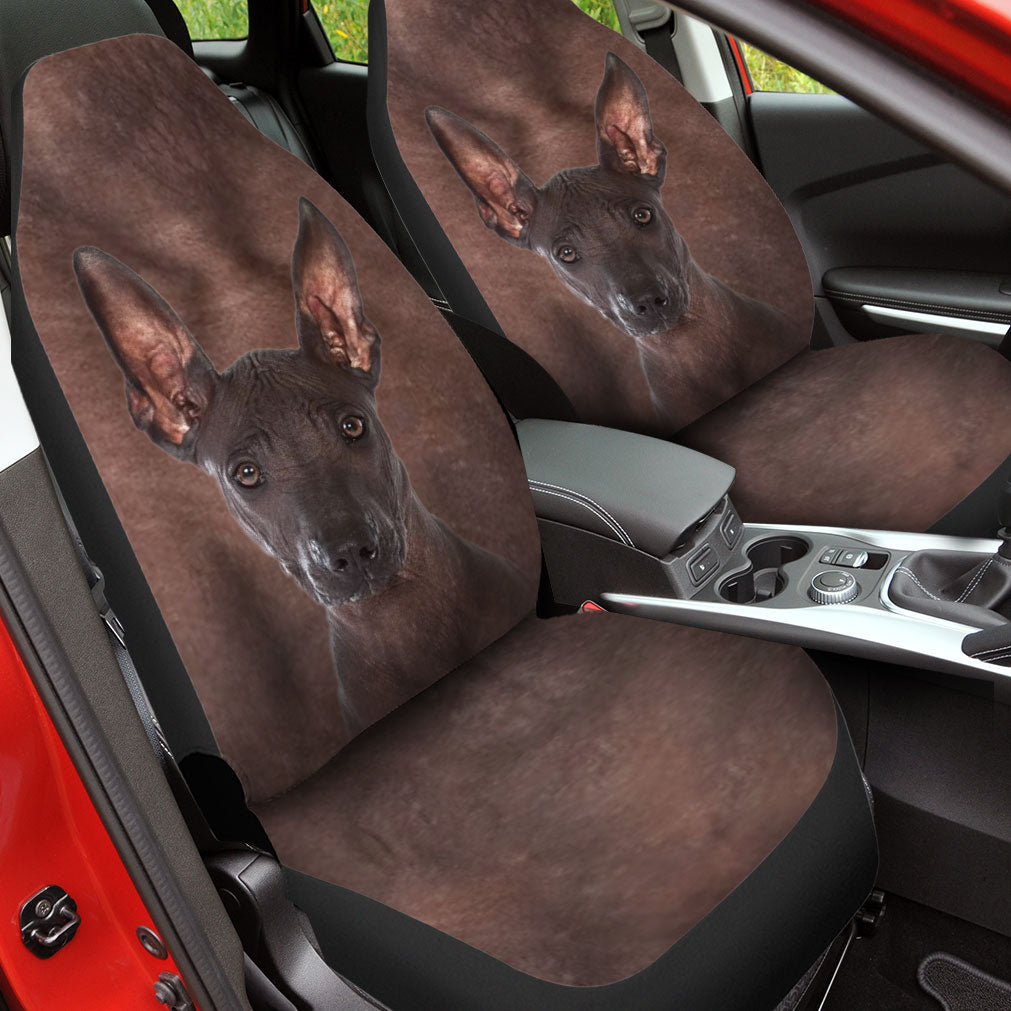 Xoloitzcuintli Face Car Seat Covers 120