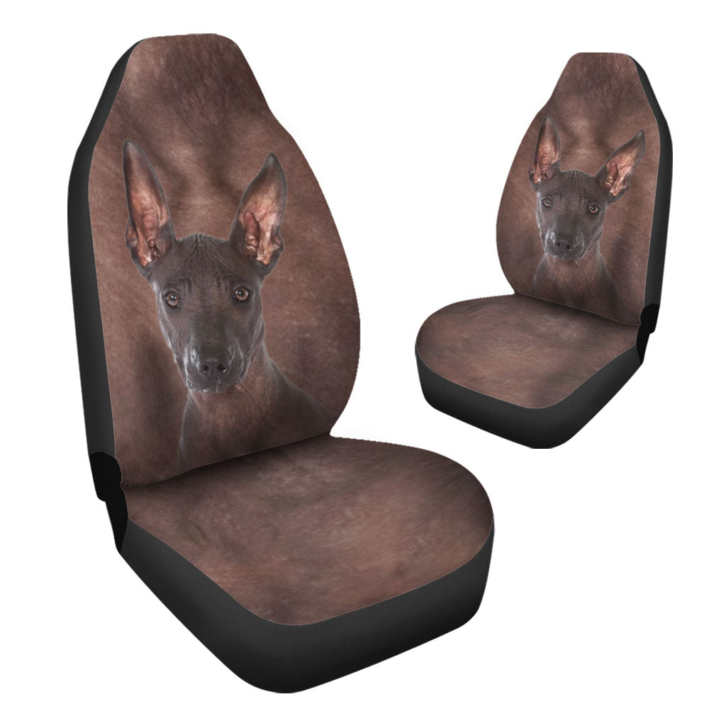 Xoloitzcuintli Face Car Seat Covers 120