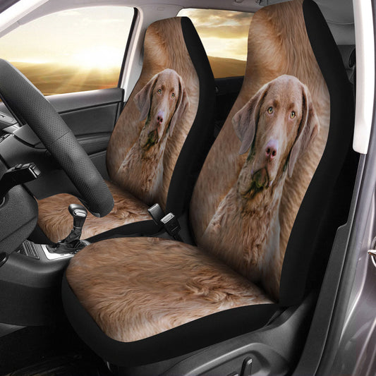 Chesapeake Bay Face Car Seat Covers 120