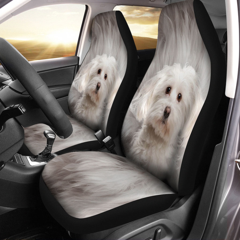 Maltese Face Car Seat Covers 120