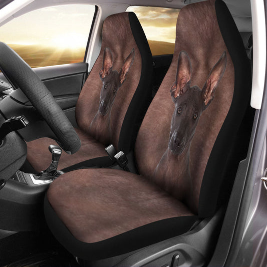 Xoloitzcuintli Face Car Seat Covers 120