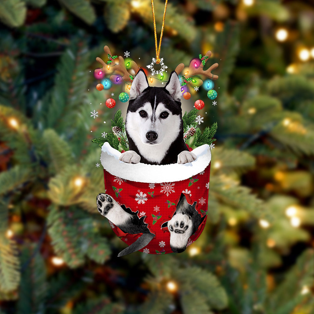 Husky In Snow Pocket Christmas Ornament