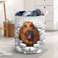 Bloodhound - In The Hole Of Wall Pattern Laundry Basket