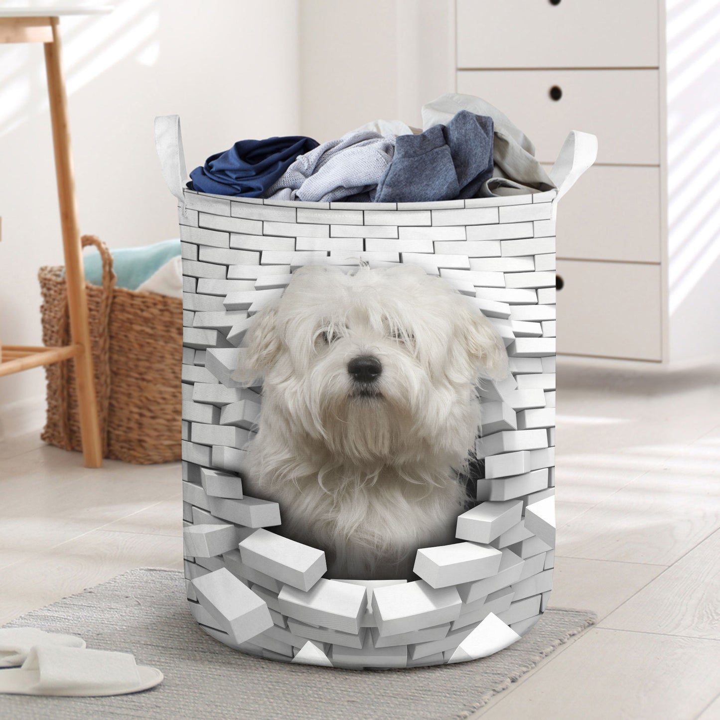 Coton de Tulear - In The Hole Of Wall Pattern Laundry Basket