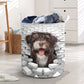 Havanese- In The Hole Of Wall Pattern Laundry Basket