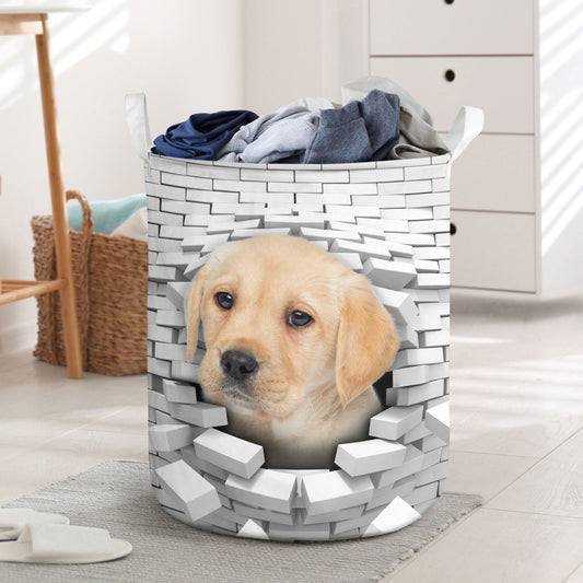 Labrador Retriever - In The Hole Of Wall Pattern Laundry Basket