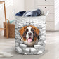 Saint Bernard - In The Hole Of Wall Pattern Laundry Basket