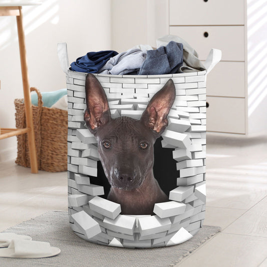 Xoloitzcuintli - In The Hole Of Wall Pattern Laundry Basket