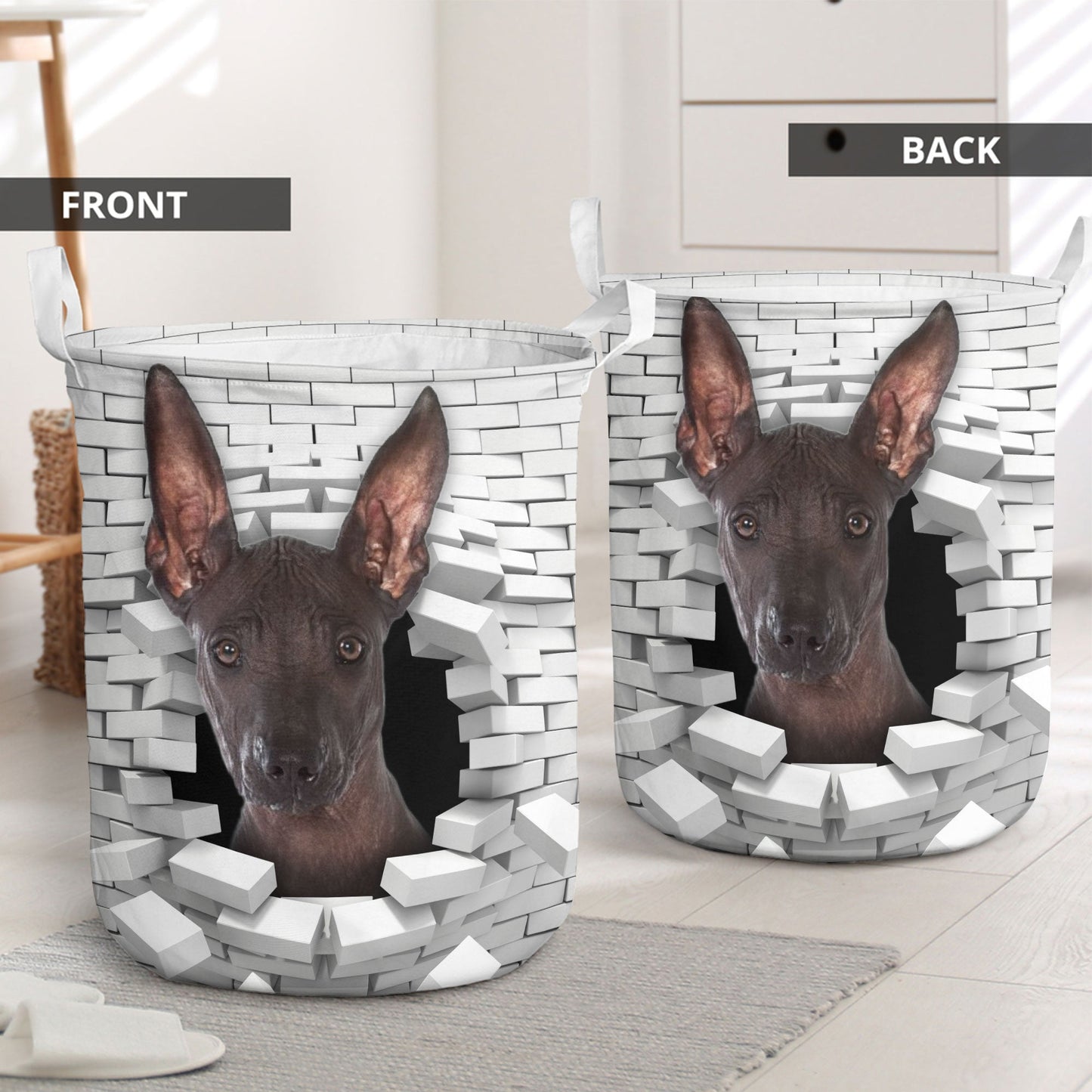 Xoloitzcuintli - In The Hole Of Wall Pattern Laundry Basket