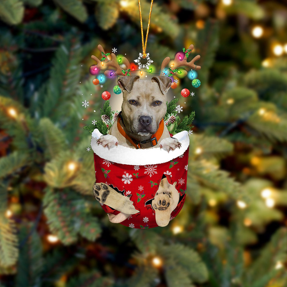 Pitbulll 02 In Snow Pocket Christmas Ornament