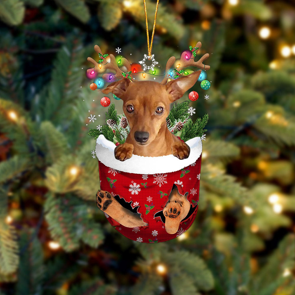 Red Miniature Pinscher In Snow Pocket Christmas Ornament