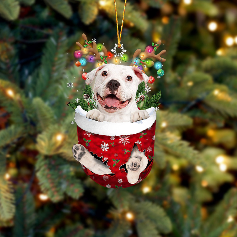 White Pitbulll In Snow Pocket Christmas Ornament