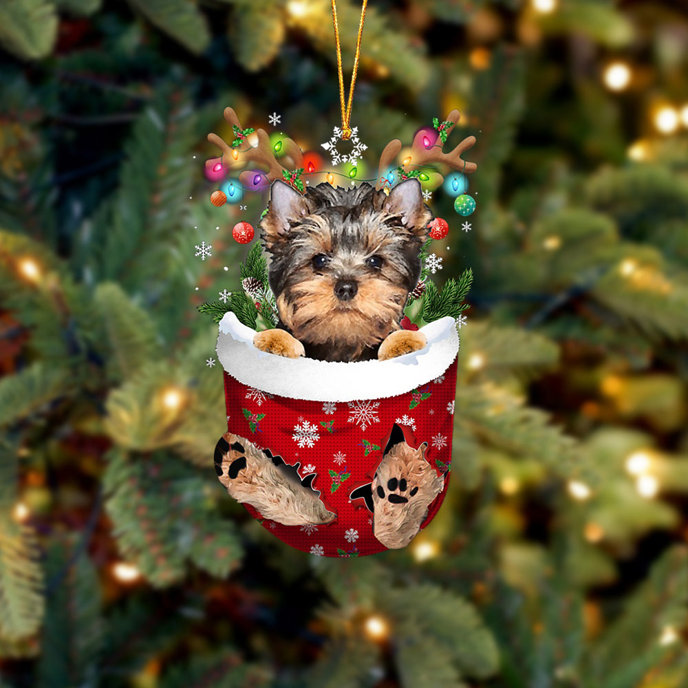 Yorkshire Terrier In Snow Pocket Christmas Ornament